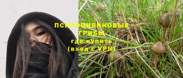 apvp Алзамай