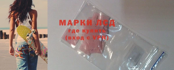 apvp Алзамай