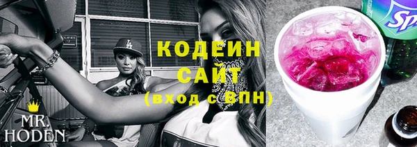 apvp Алзамай