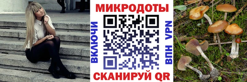 Галлюциногенные грибы Psilocybe  Краснознаменск 